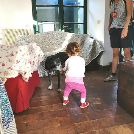 Da Pino * Montemerano