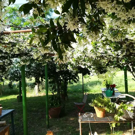Da Pino Country house Montemerano